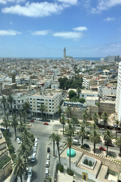 city_palms_400x600_170kb